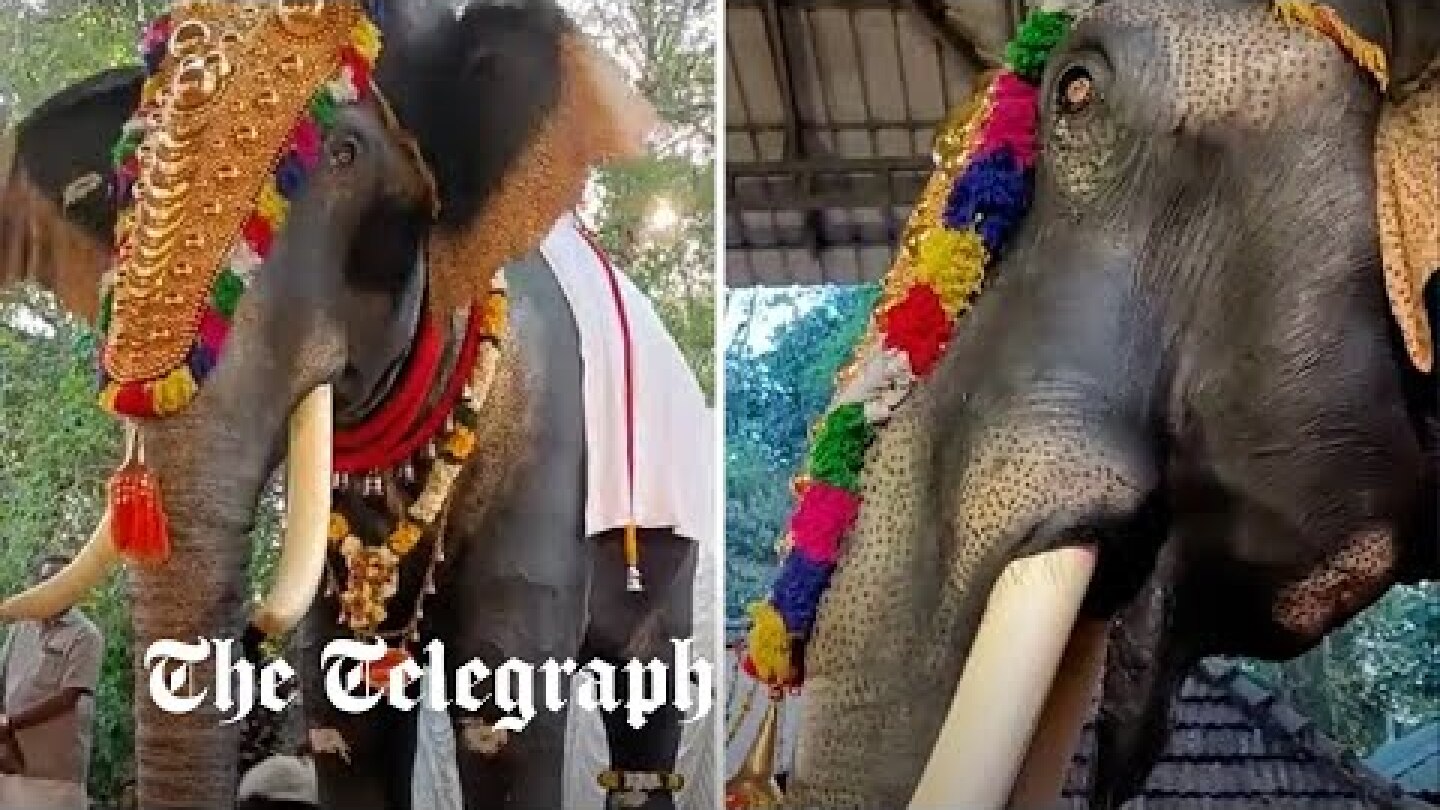 Life-size robot elephant used in Indian temple in bid to end animal cruelty