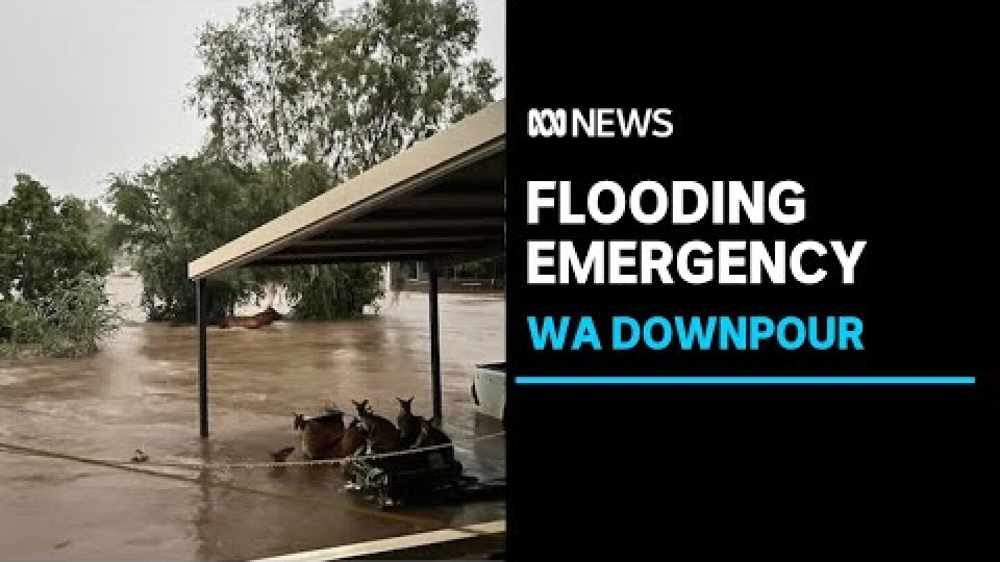 Relief for WA flood crisis residents as critical supplies reach worst-hit Kimberley areas | ABC News