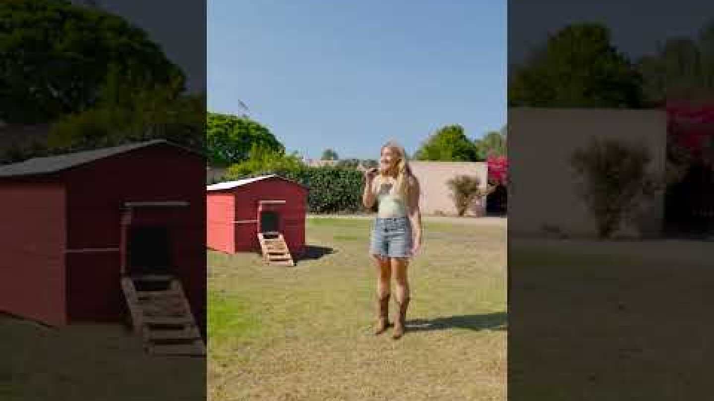 I forgot to say "Yeehaw"! 🤠🐴🐓 Lots of tutorials for these on the way! #aiorreal #ai #generativeai