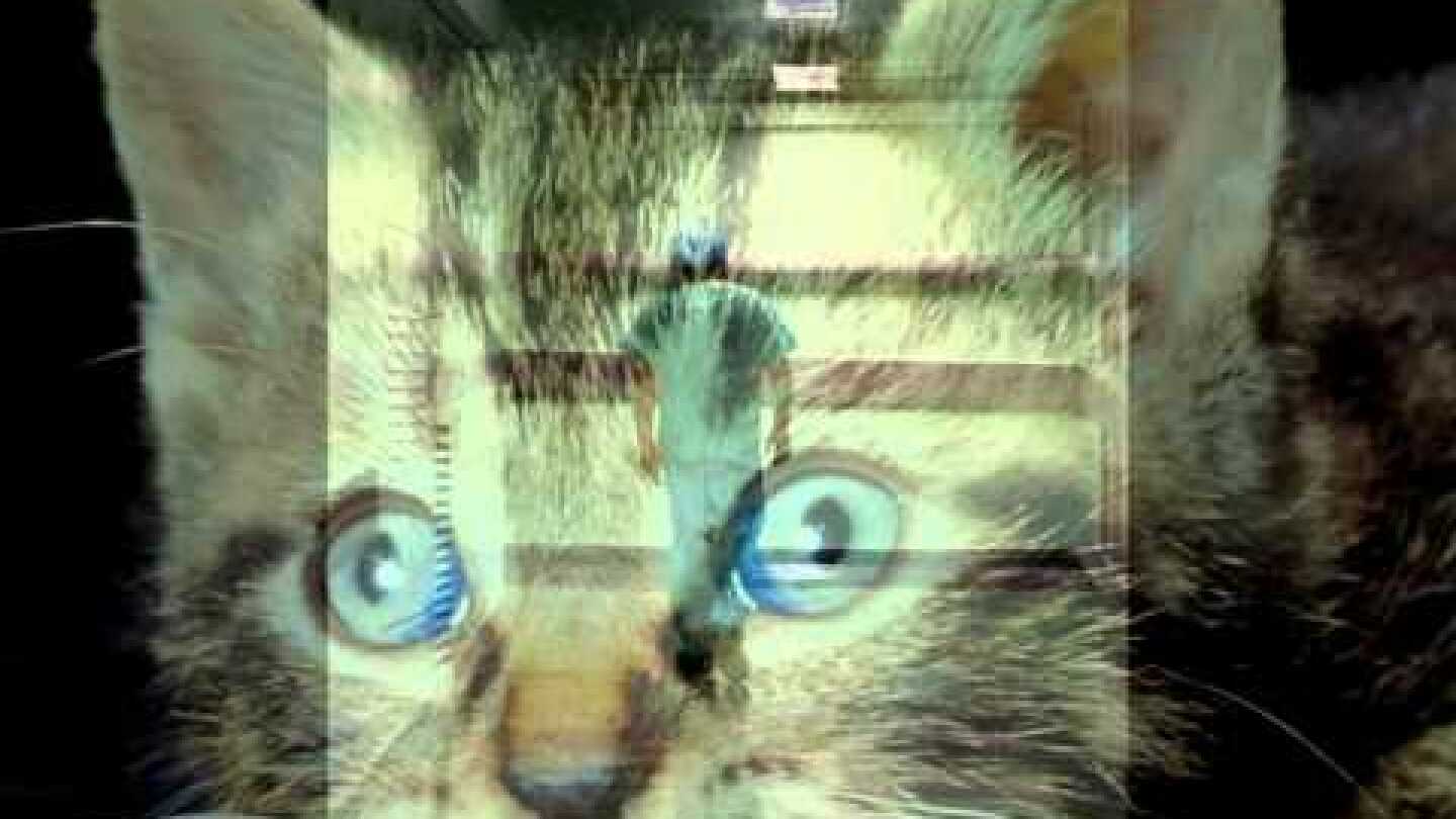 Thanassis Dritsas Rain madness