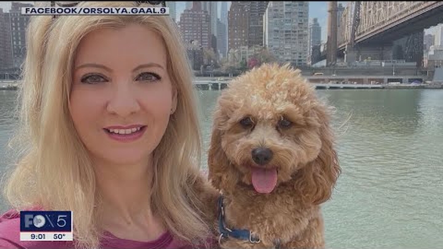 Suspect arrested in Orsolya Gaal murder