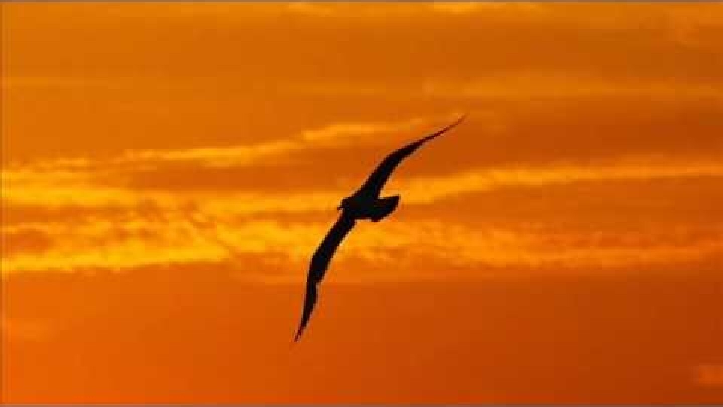 Μεθυσμένα καλοκαίρια-Μ.Τσαϊρέλη & Ε.Τσαλιγοπούλου