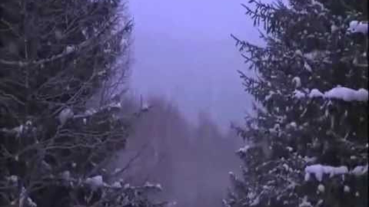 Δεκέμβριος - Ορφέας Περίδης