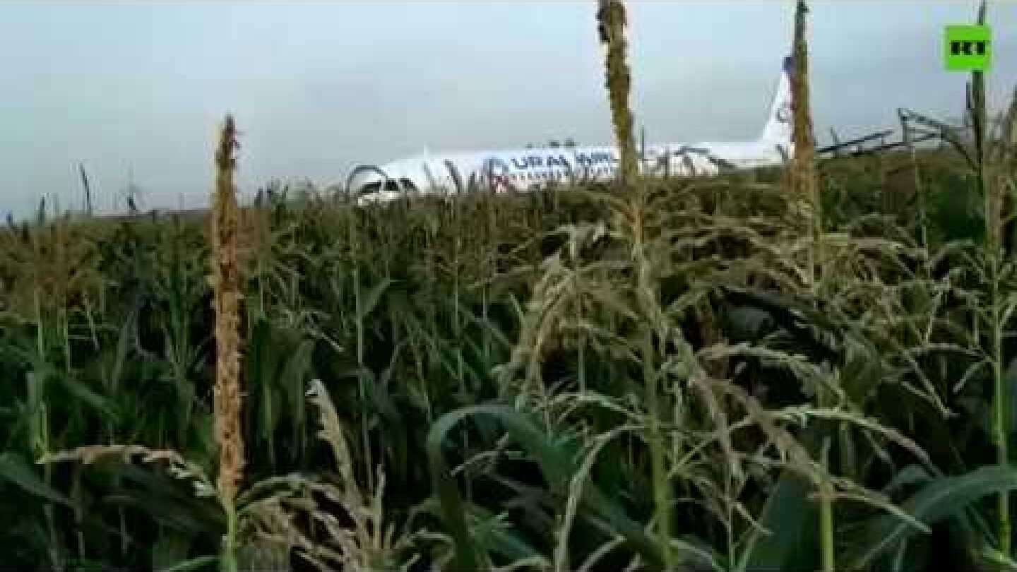Russian airliner with over 200 onboard makes BELLY LANDING