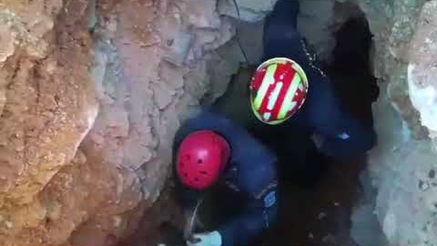 iefimerida: Η ΕΜΑΚ απεγκλωβίζει σκύλο στη Ν. Πέραμο