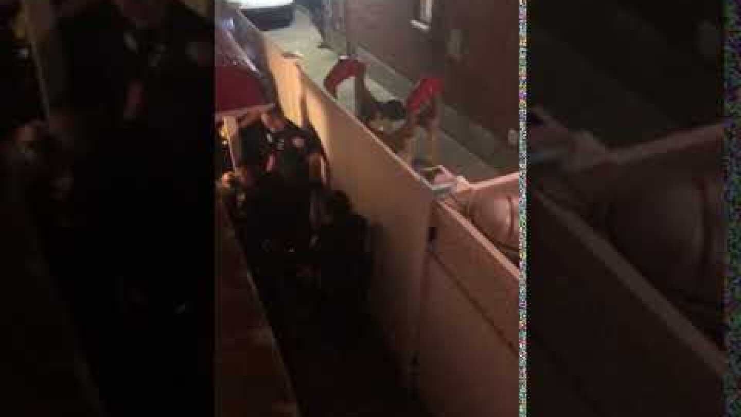 George  Zapantis Taser video for Gothamist NEWS article.