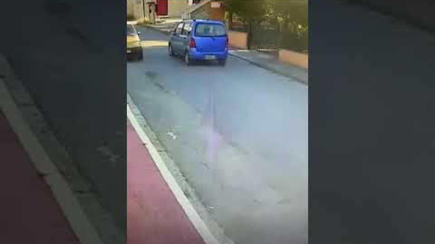 Thestival.gr Οδηγός αυτοκινήτου παρέσυρε σκύλο στη Γέφυρα Θεσσαλονίκης