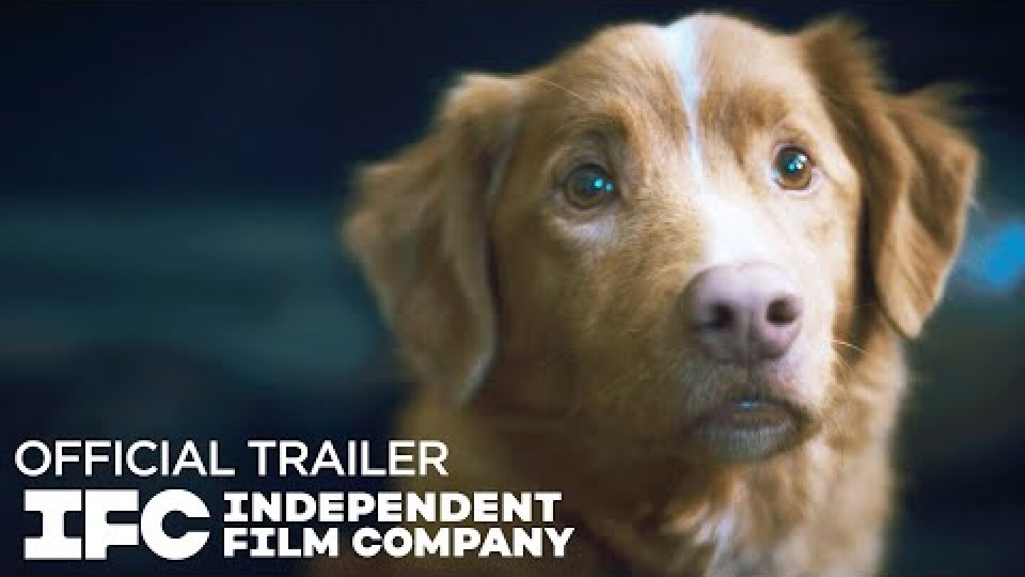 Good Boy - Official Trailer | HD | IFC Films