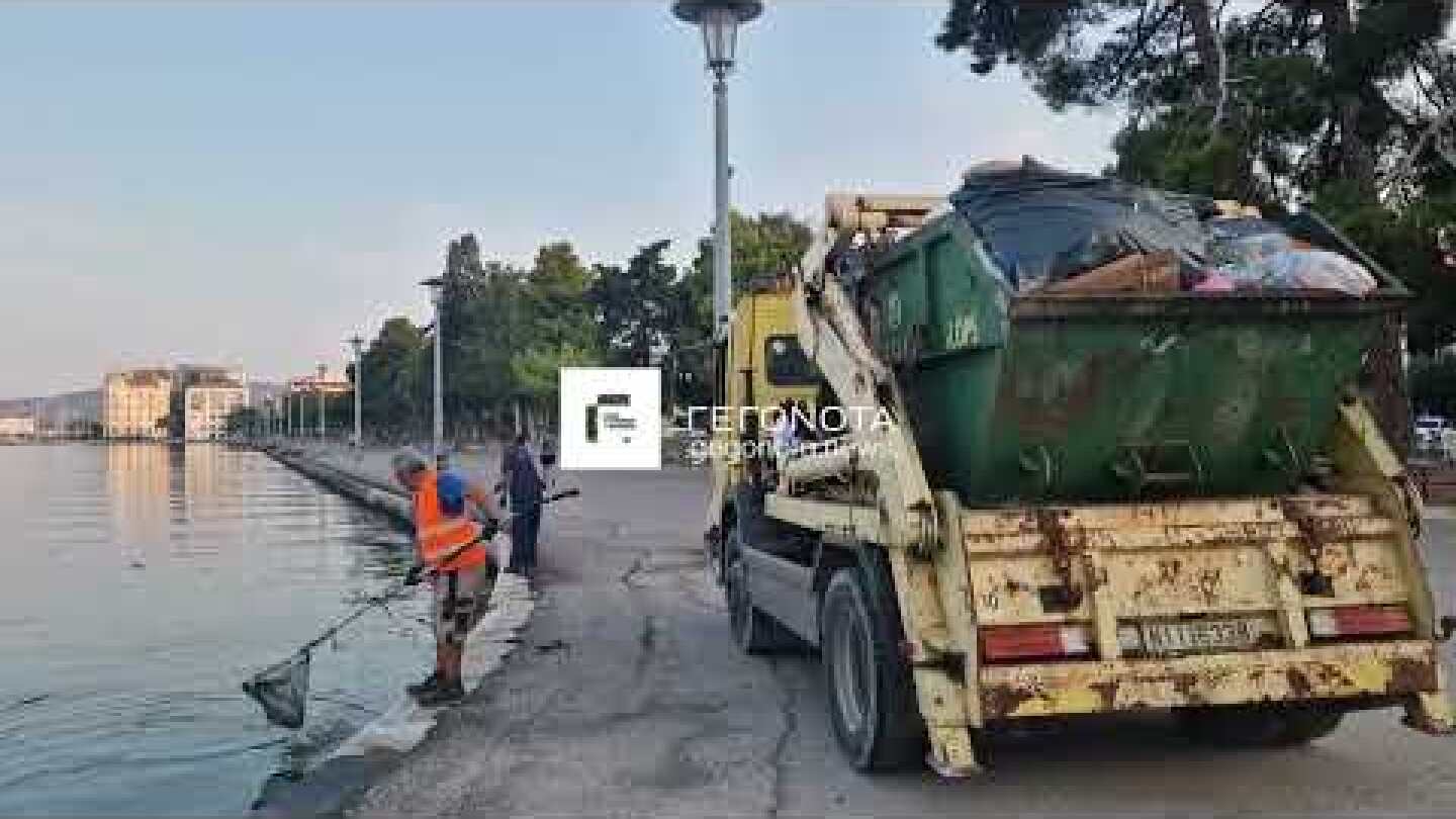 Βόλος - Μαζεύουν με την απόχη τα νεκρά ψάρια