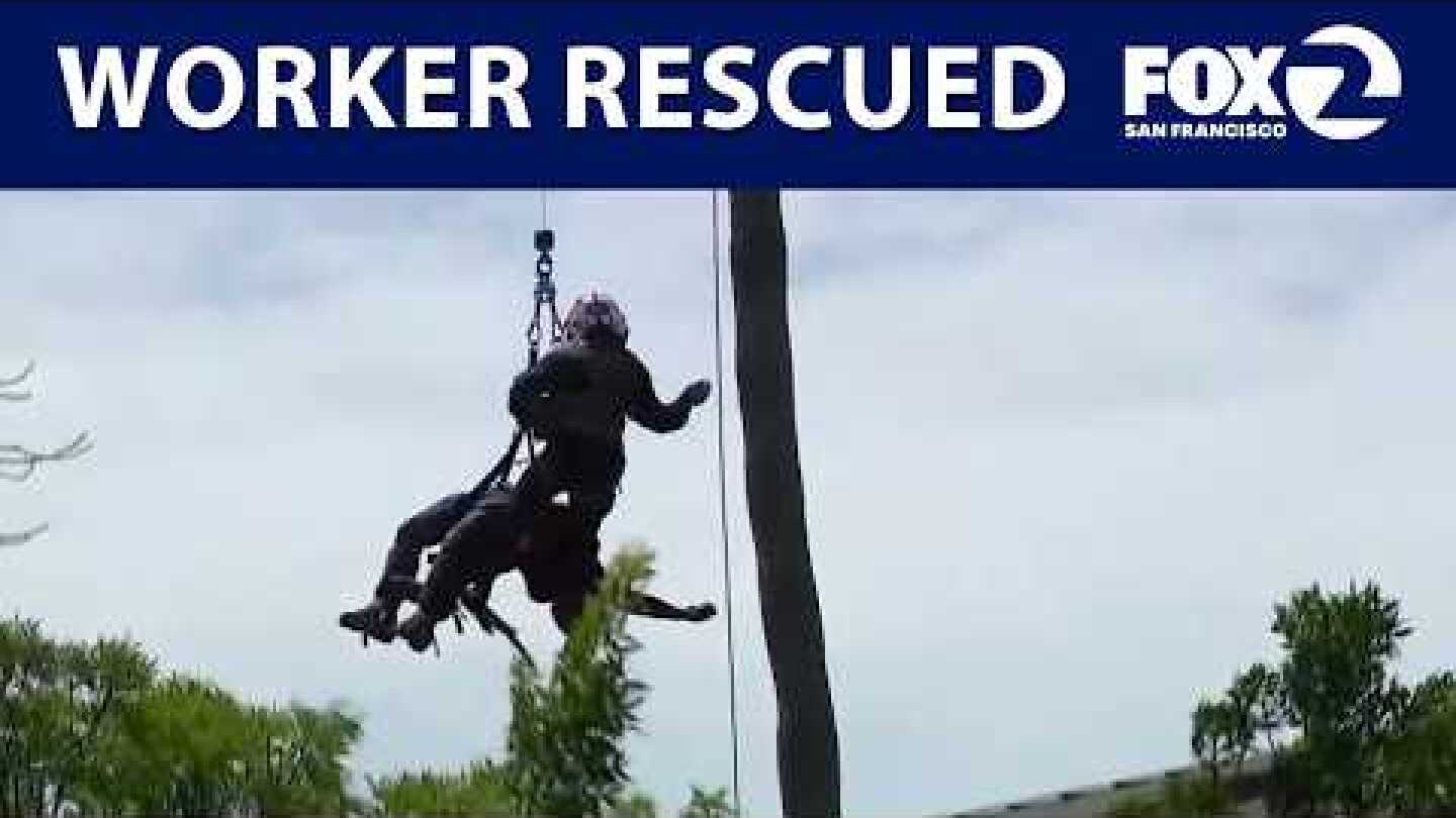Trapped worker rescued from palm tree in San Jose | KTVU