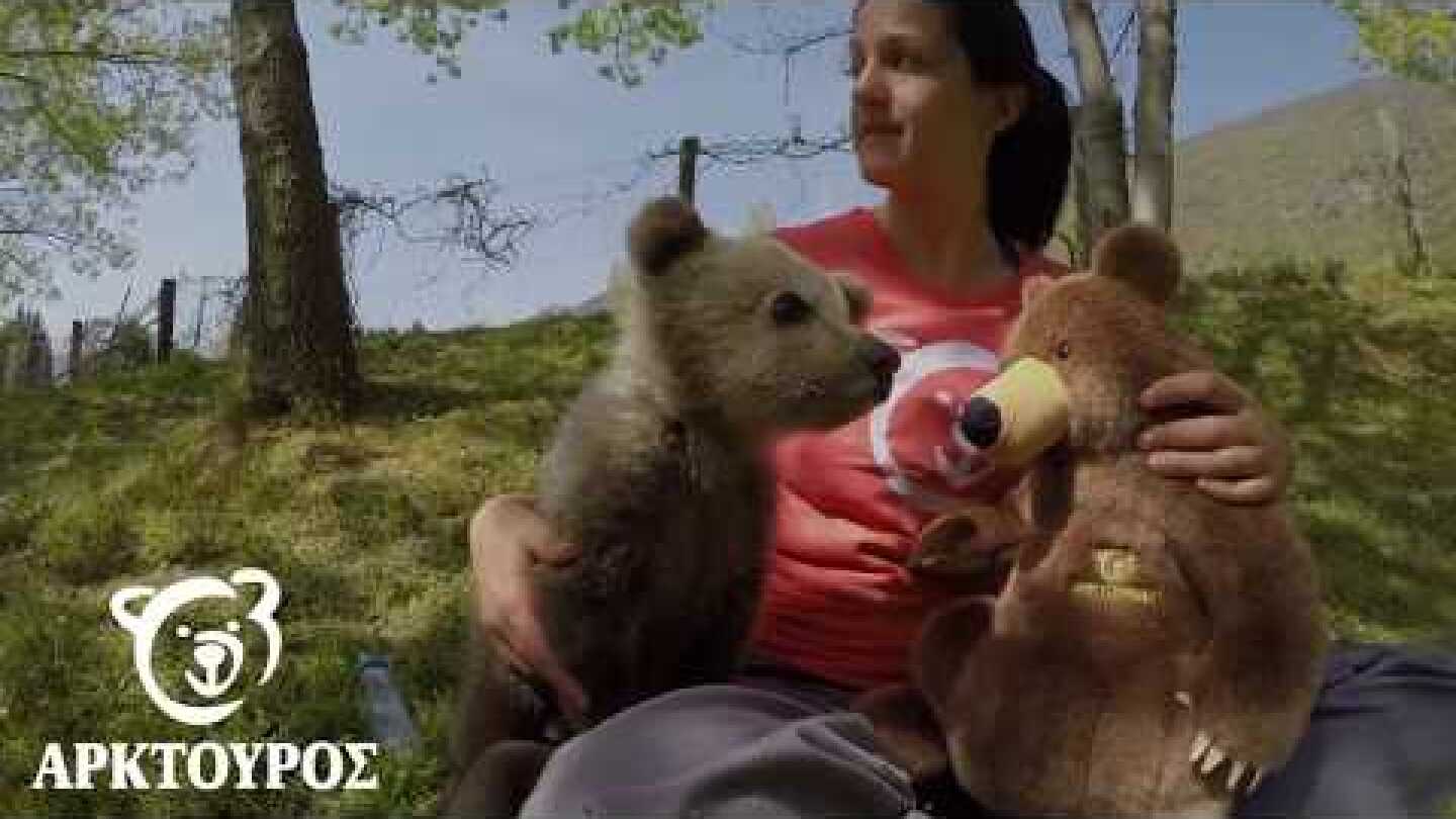 Ο Λουίτζι στον ΑΡΚΤΟΥΡΟ - Luigi at ARCTUROS