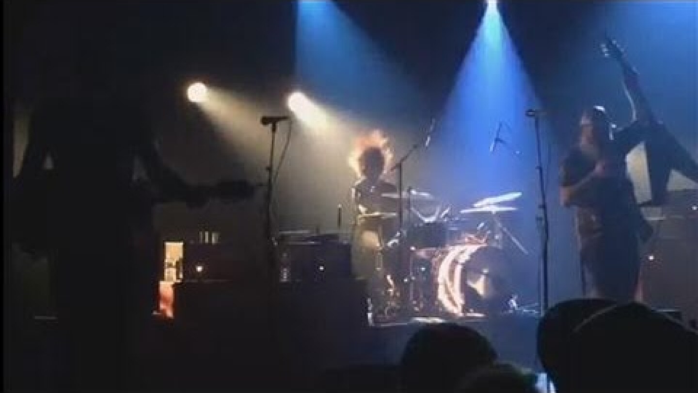 Le Bataclan Concert's Interruption by Gunmen, Shown in Video