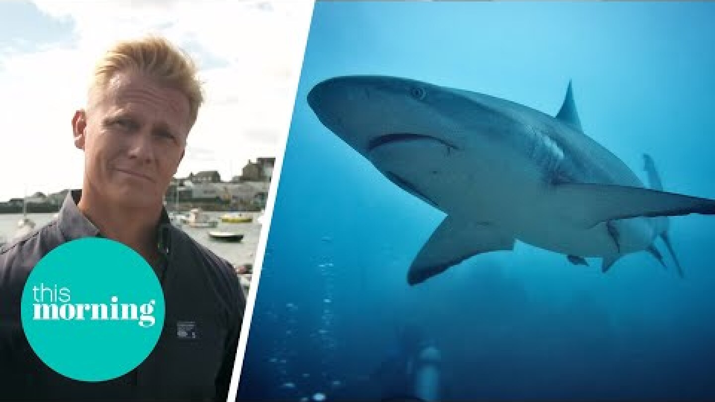 Shark Attack Off The Coast Of Cornwall: Dr Scott Tells Us All | This Morning