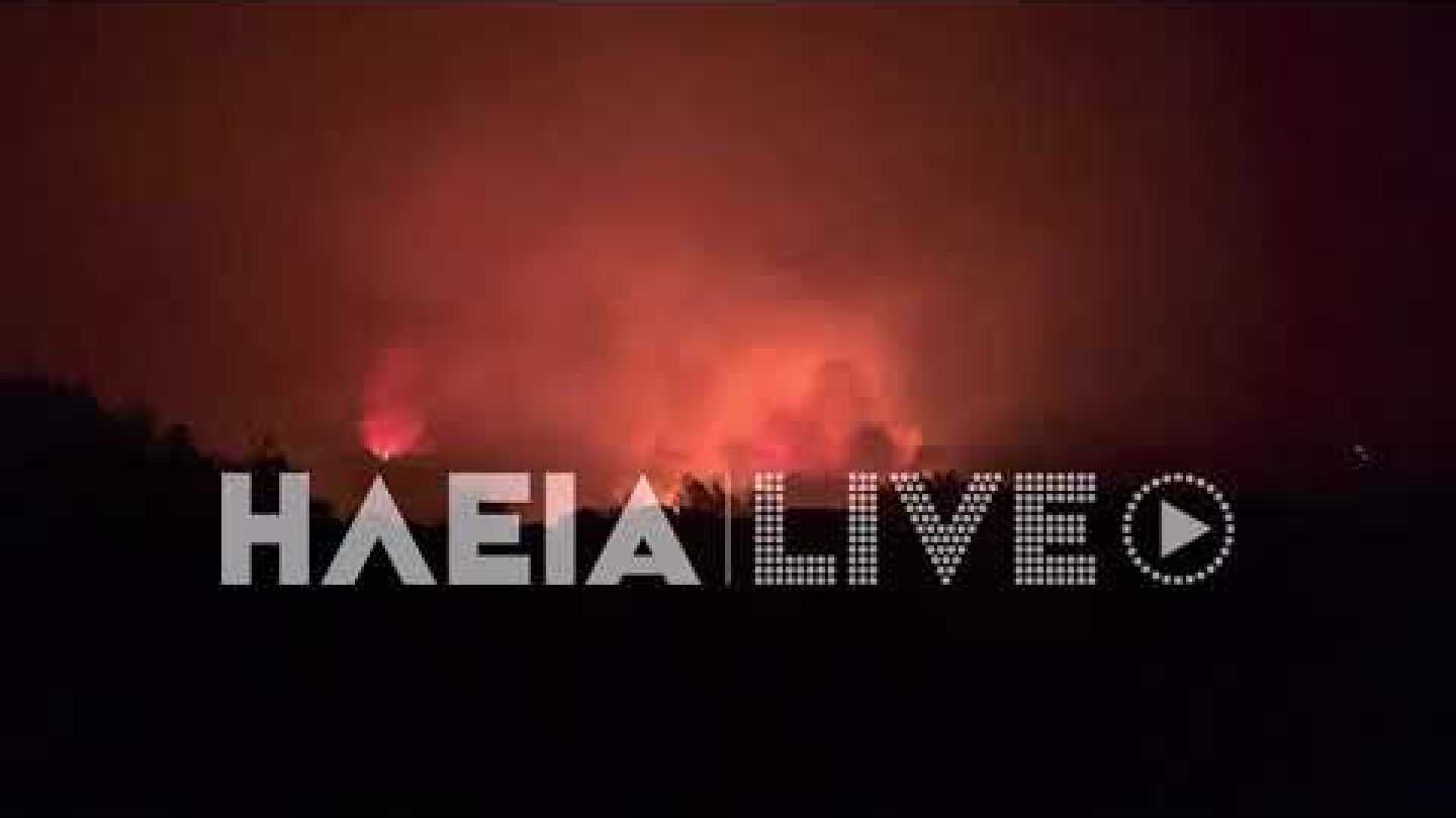 ilialive.gr - Νυχτερινά πλάνα από το Βασιλάκι