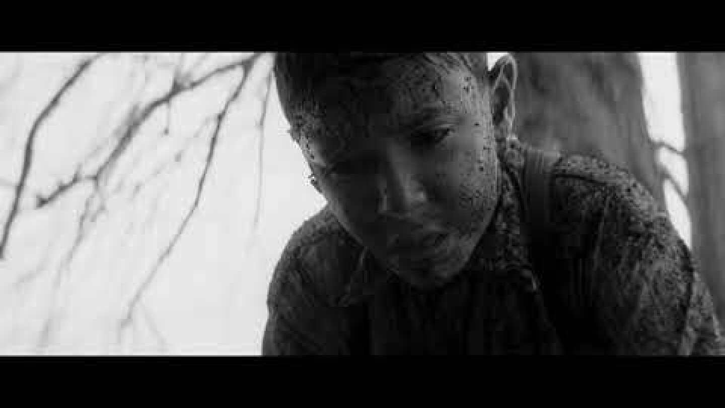 ΤΟ ΒΑΜΜΕΝΟ ΠΟΥΛΙ - The Painted Bird FULL HD Greek Trailer