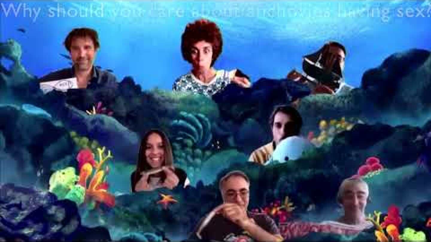 Zombie spiders and smart toilets win 'Ig Nobel' prizes