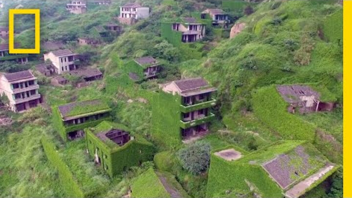 Plants Are Taking Over This Abandoned Fishing Village | National Geographic