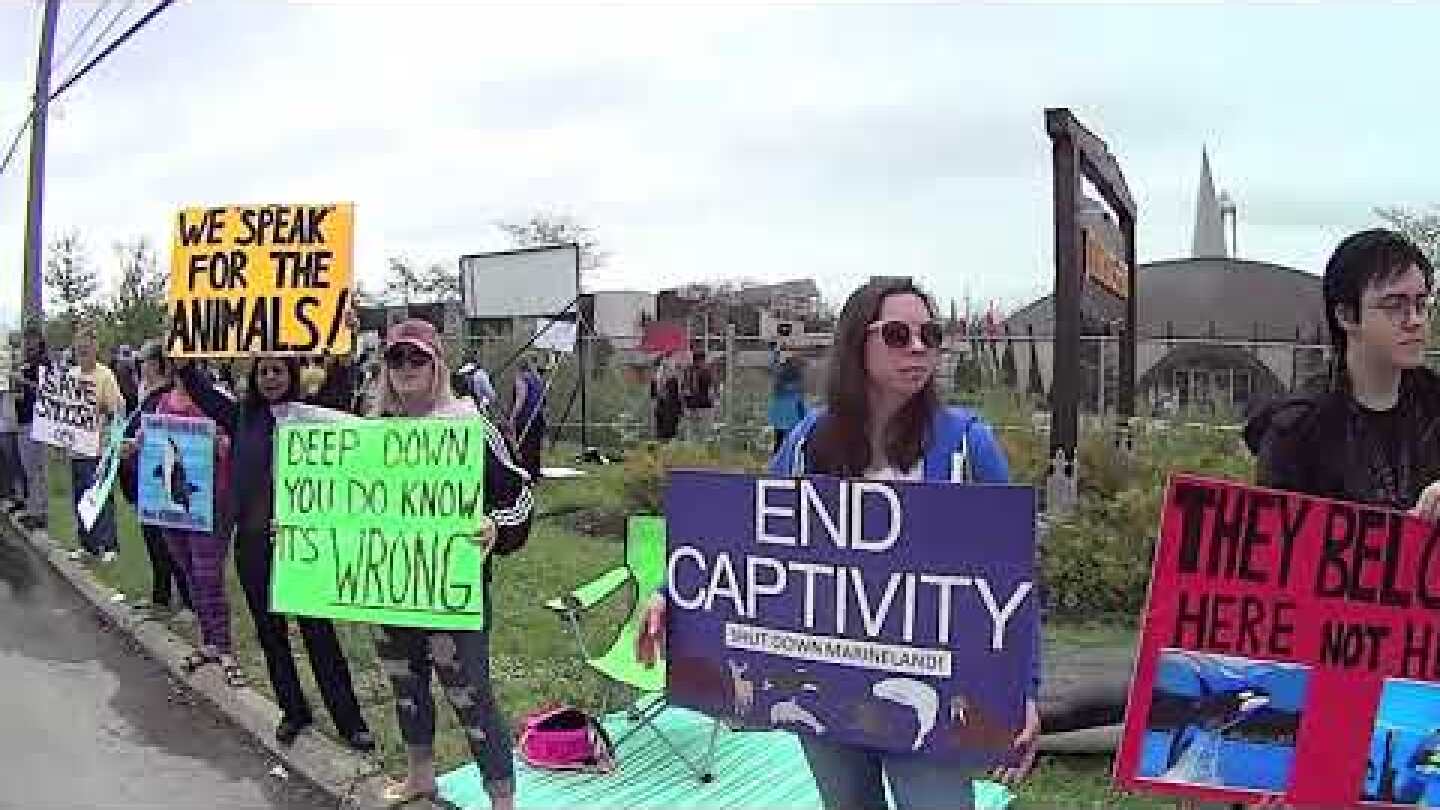 Marineland Canada Opening Day Demonstration
