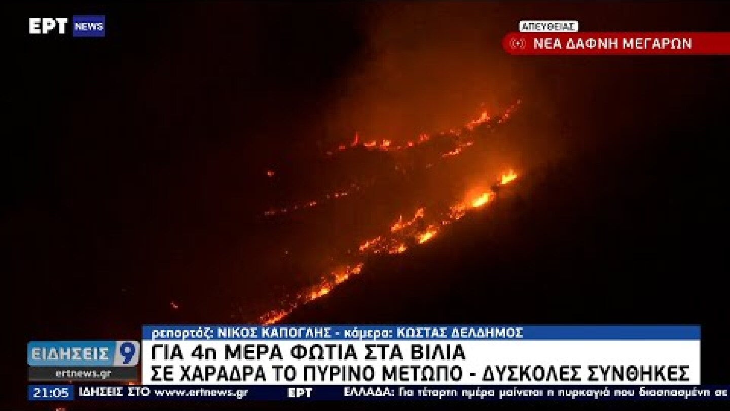 Πύρινη μάχη στα Βίλια: Κάηκαν σπίτια στον οικισμό Θέα - Διάσπαρτες εστίες ΕΡΤ 19/8/2021