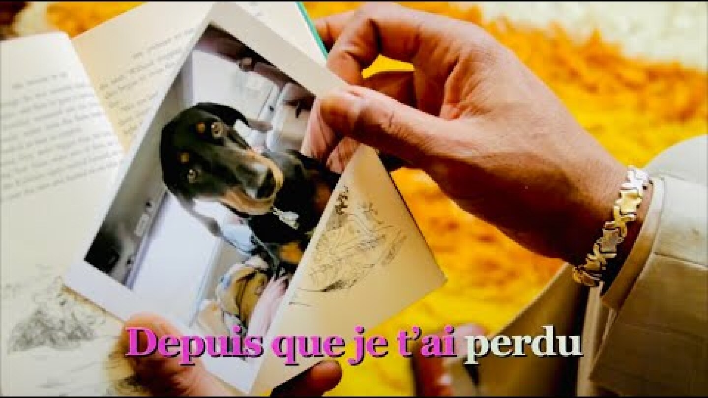 Oú est ma tête? - Pink Martini | Official Music Video - Second Place Video Contest Winner