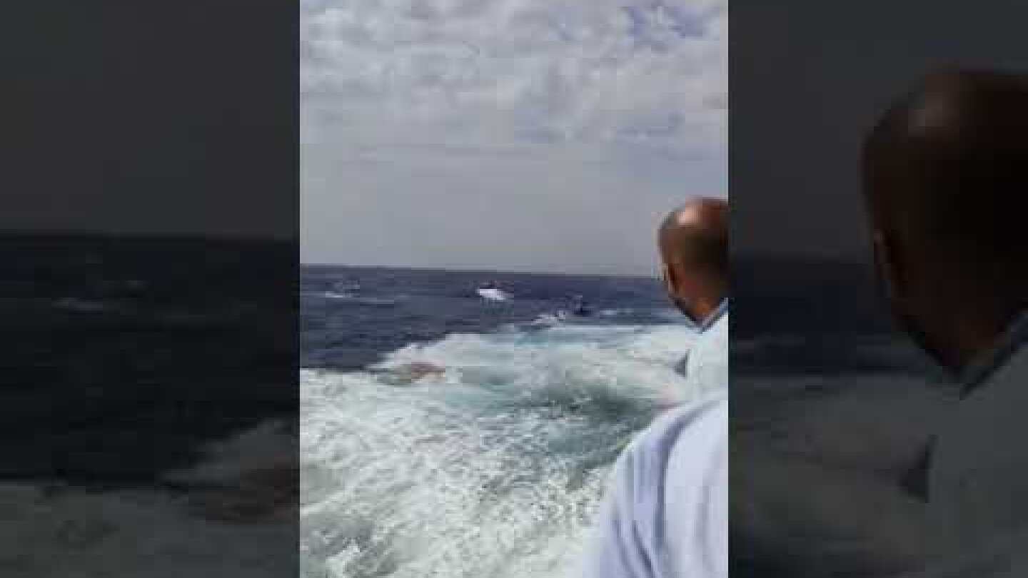 psts.gr: Ναυάγιο στη Μήλο