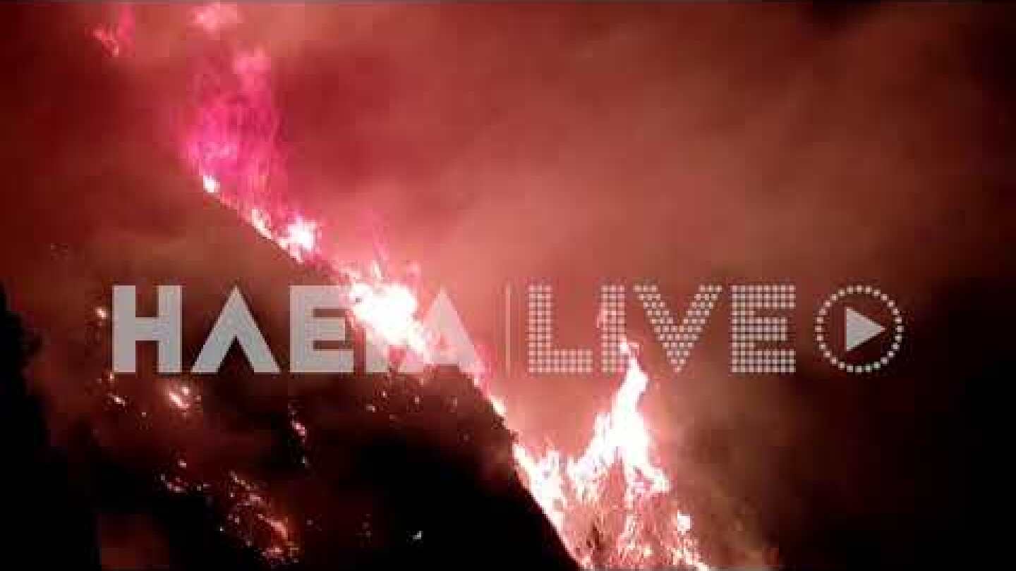 ilialive.gr - Νέα πυρκαγιά στην Κορυφή Πύργου 2
