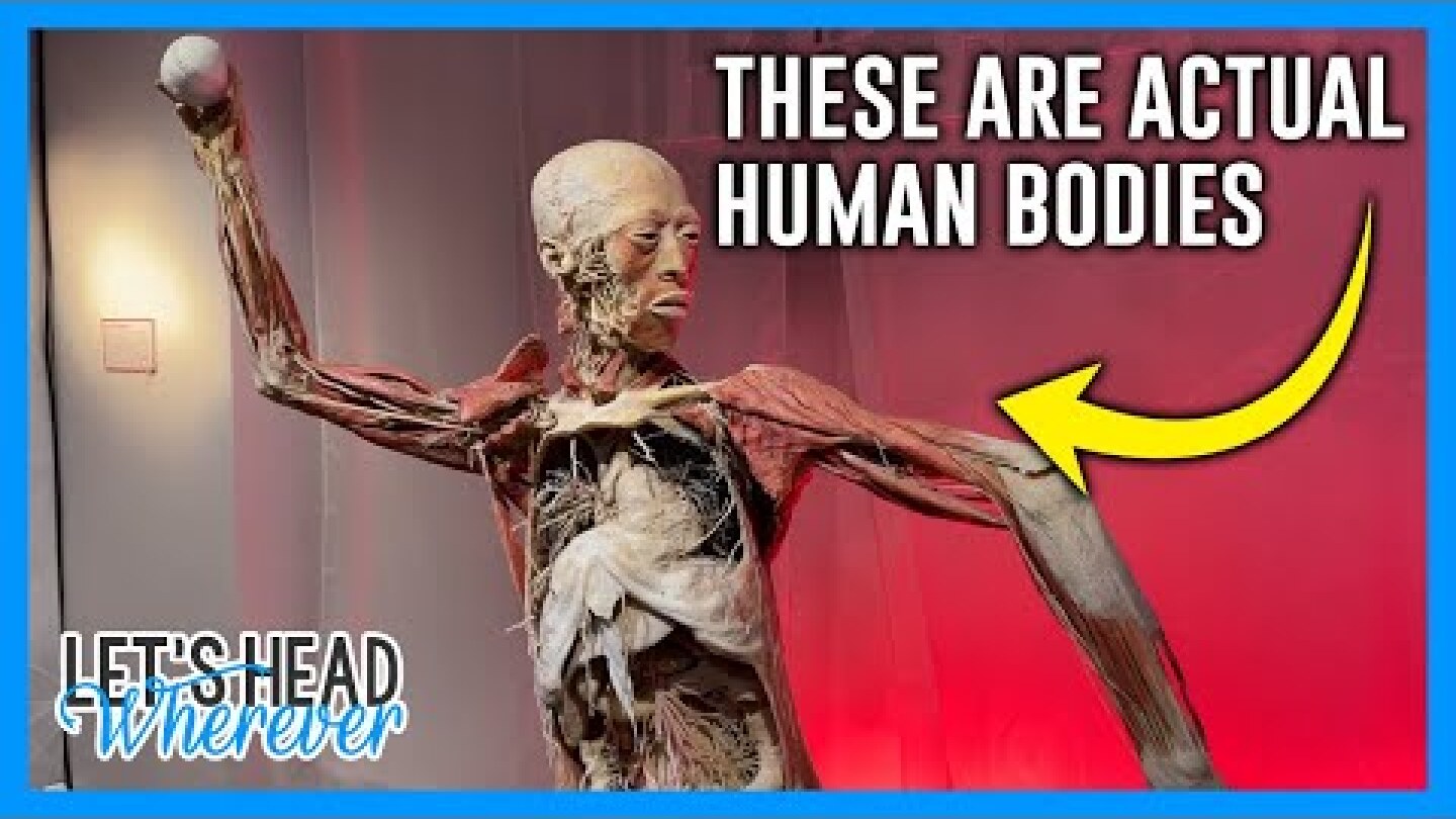 REAL BODIES EXHIBIT – LAS VEGAS