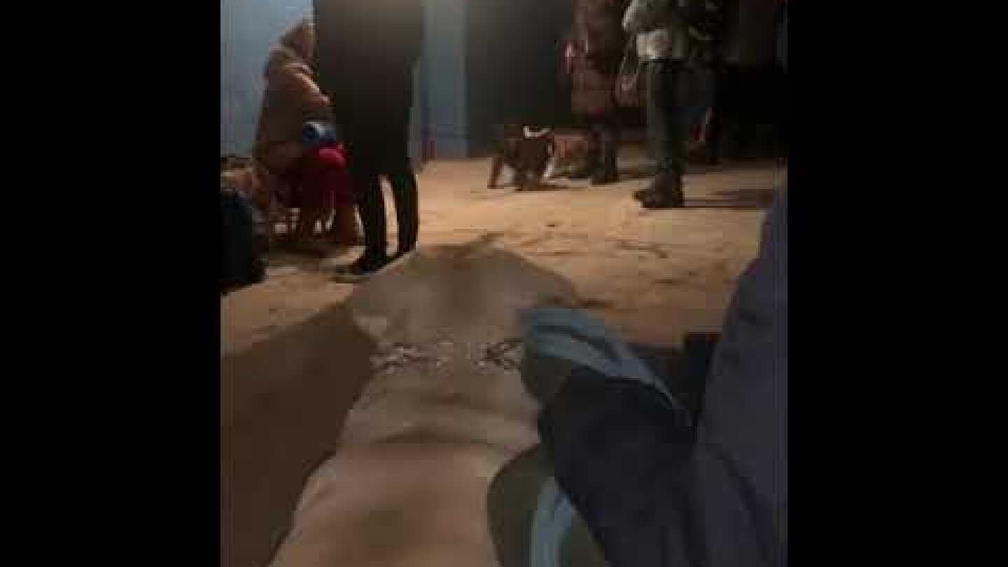 Humans for Ukraine: A video from a bomb shelter