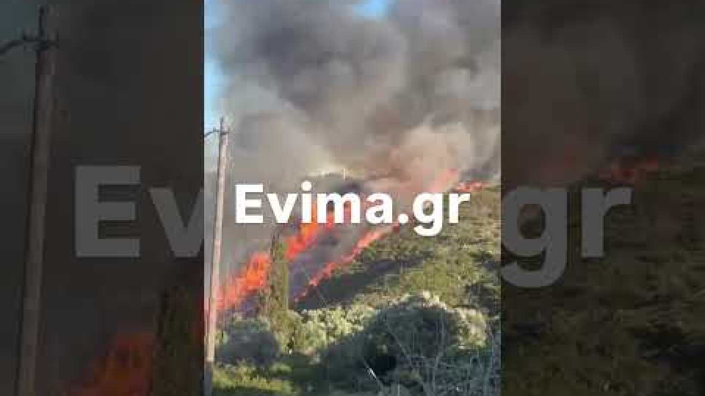 Μεγάλη φωτιά στην Εύβοια