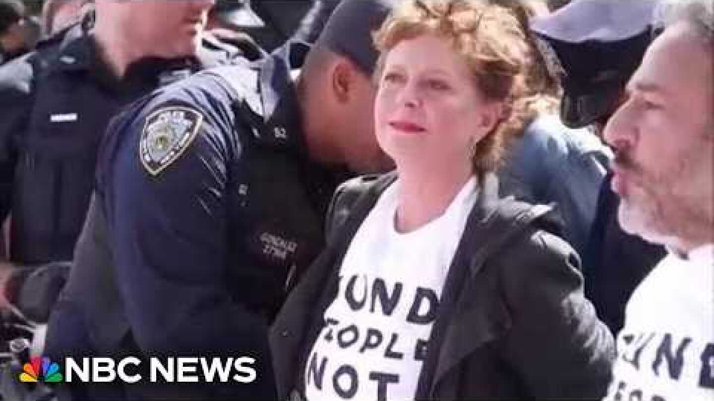 Susan Sarandon among hundreds protesting Netanyahu’s speech outside the U.N.