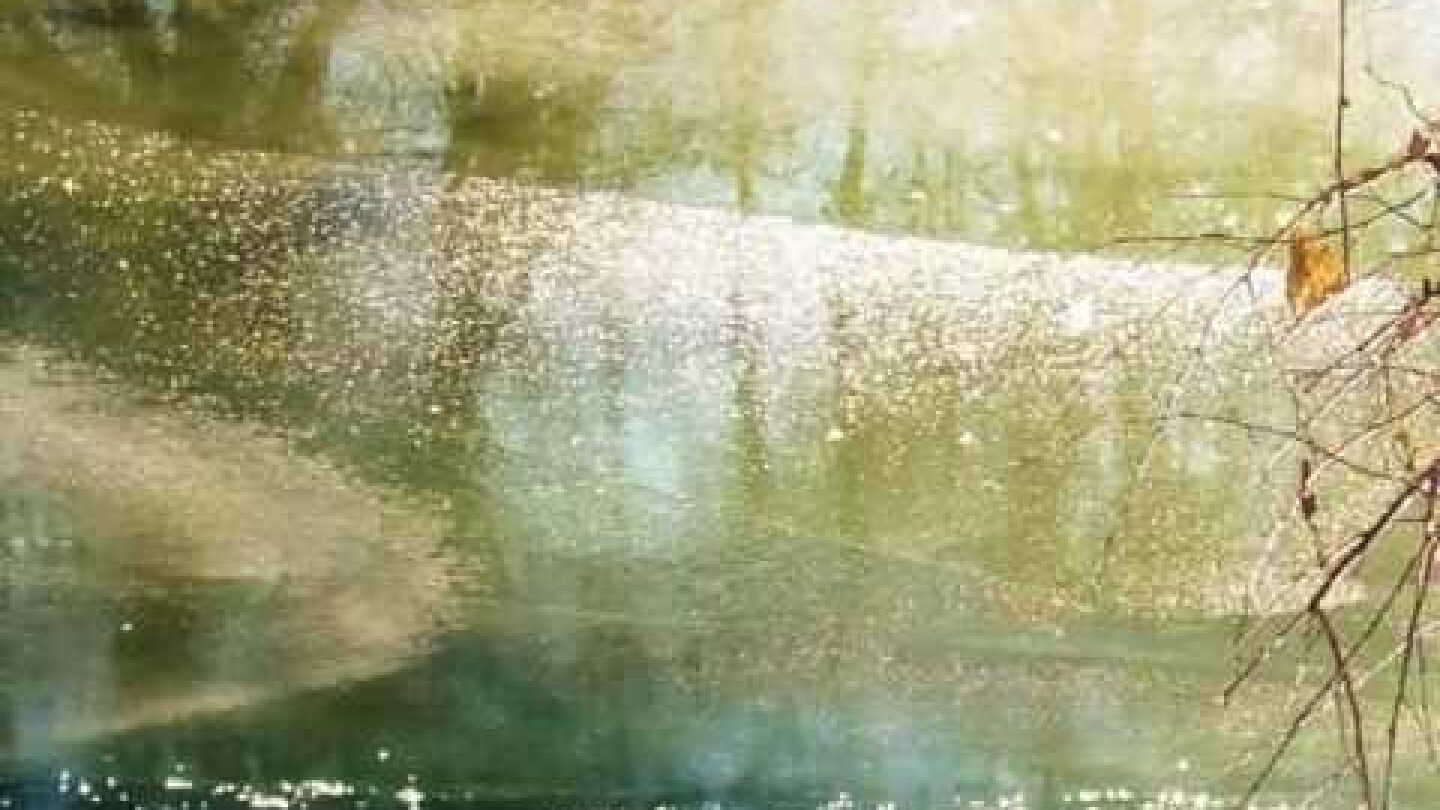 Thanassis Dritsas Winter passages