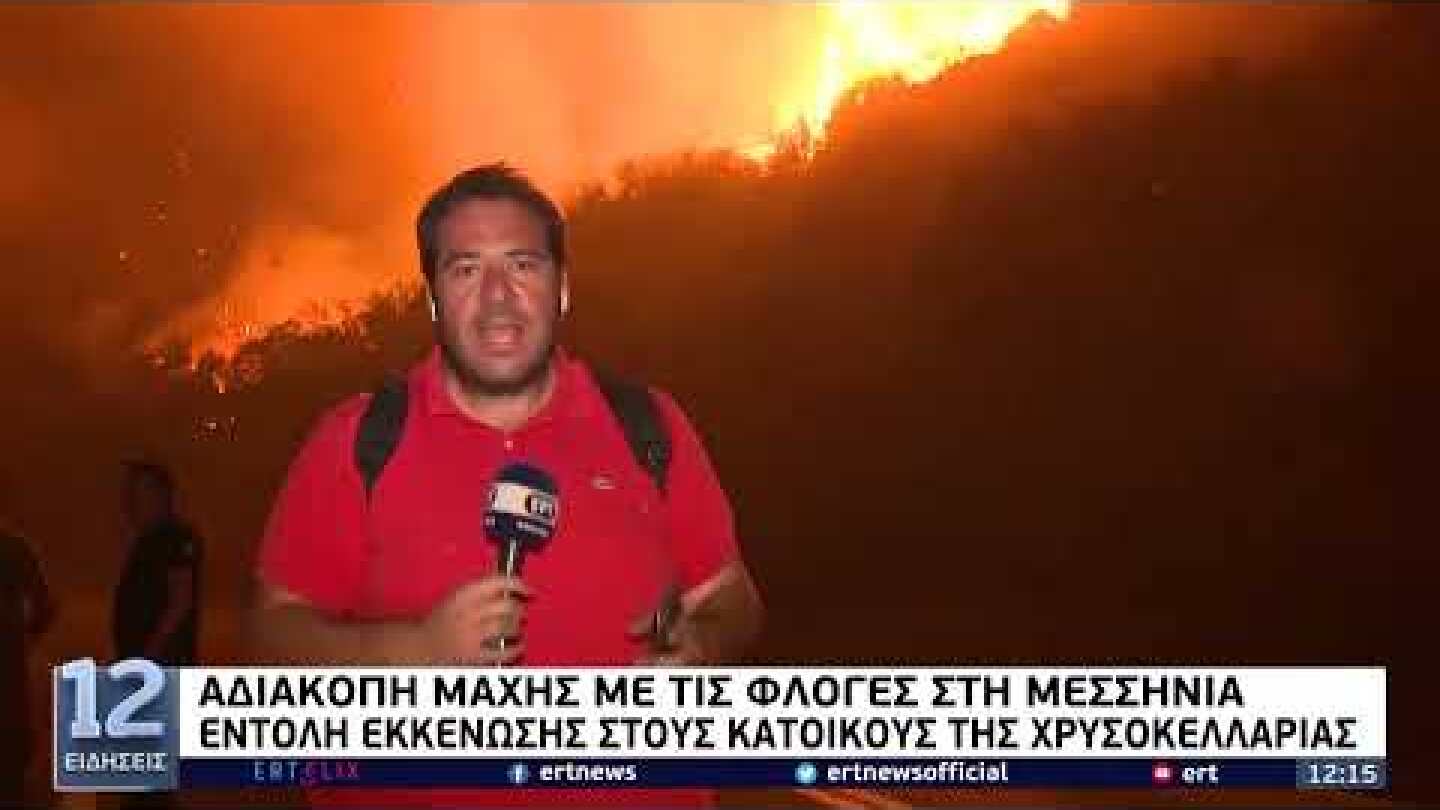 Αδιάκοπη μάχη με τις φλόγες - Δραματική νύχτα στη Δαδιά | ΕΡΤ