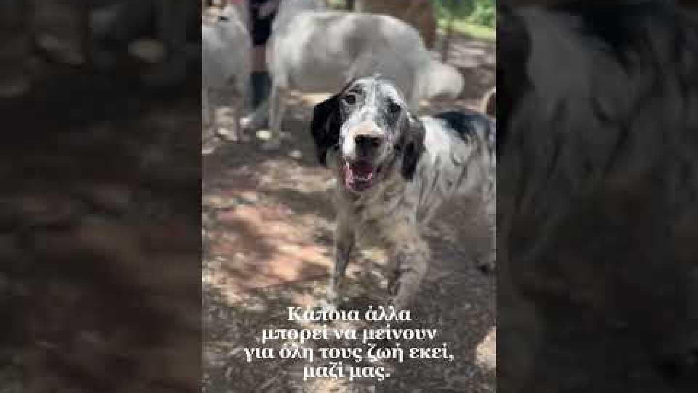 Εμείς είμαστε οι παράνομοι; 💔