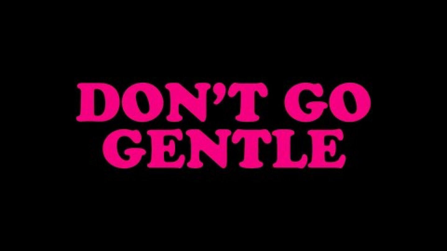 Don't Go Gentle: A Film About IDLES