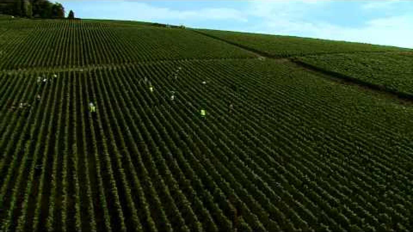 La Champagne, Patrimoine Mondial UNESCO