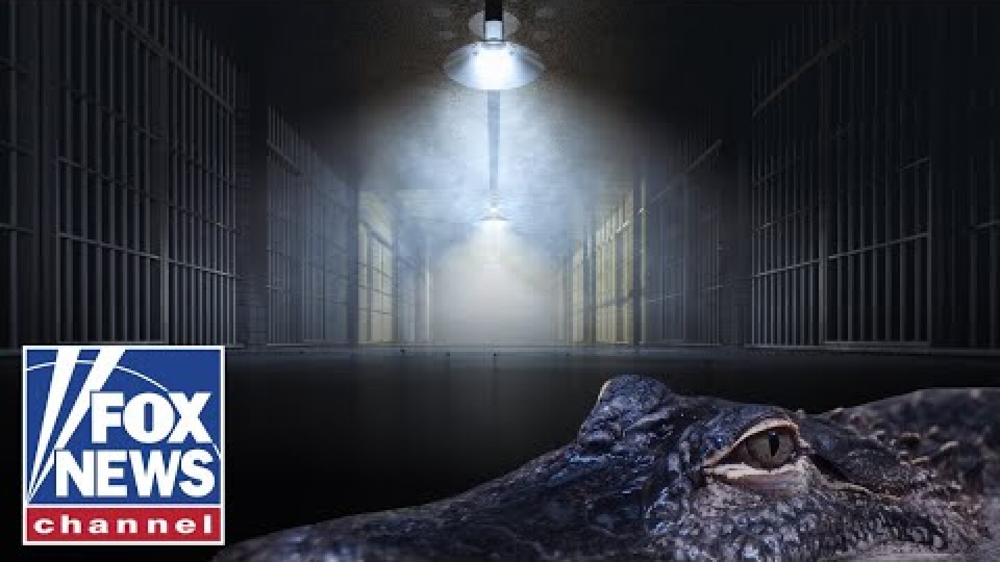 'Alligator Alcatraz': ICE detention center set to open in Florida