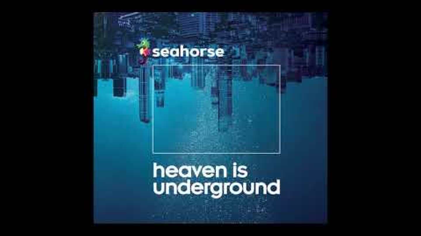 Seahorse - Human