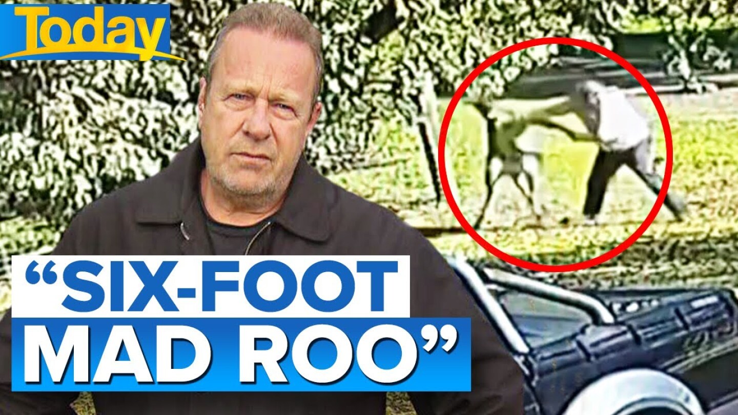Man fights kangaroo for six minutes in Victoria | Today Show Australia
