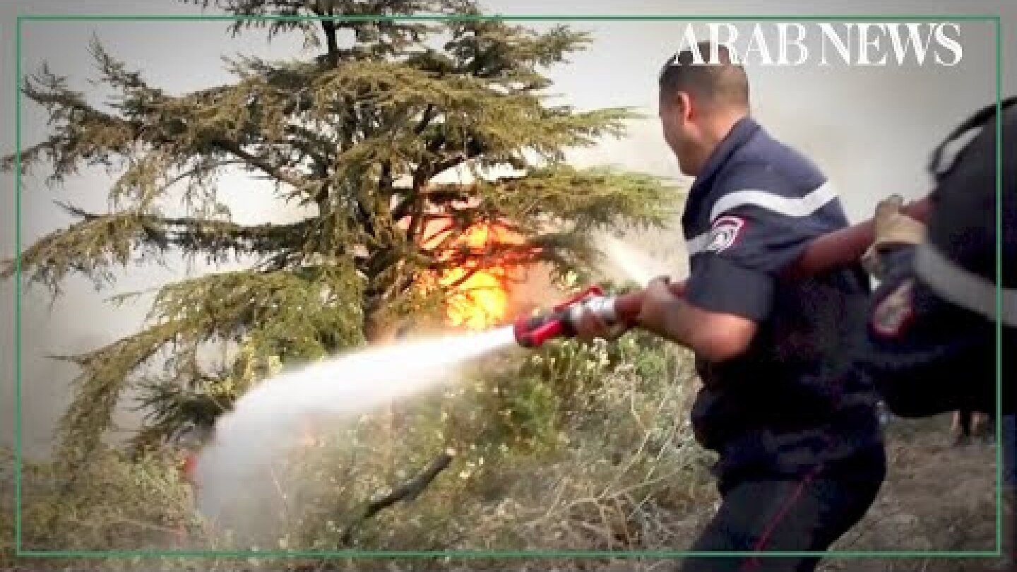 Firefighters battle ongoing wildfires in Algerian province