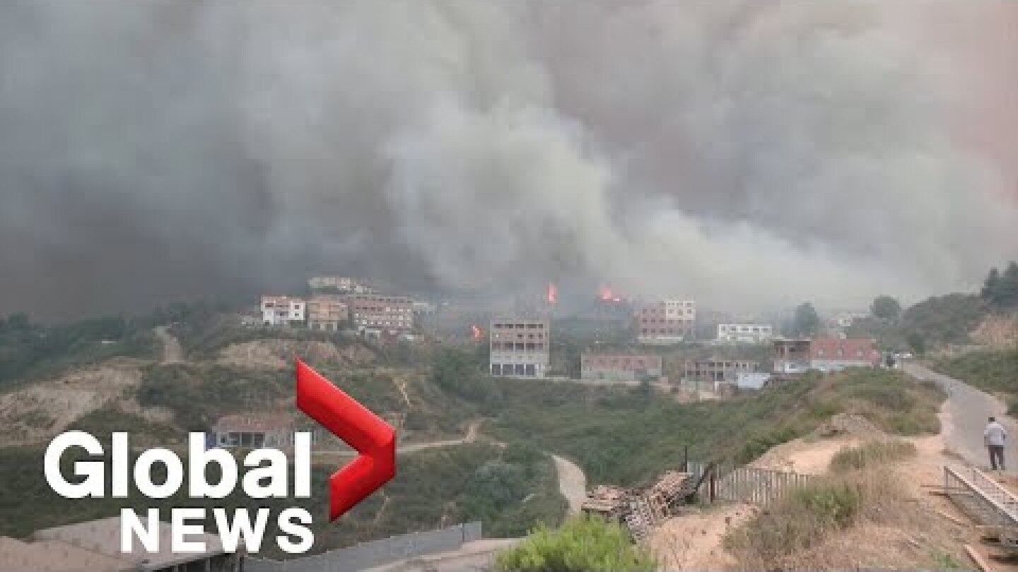 Algeria forest fires blamed on arson as death toll rises to 6