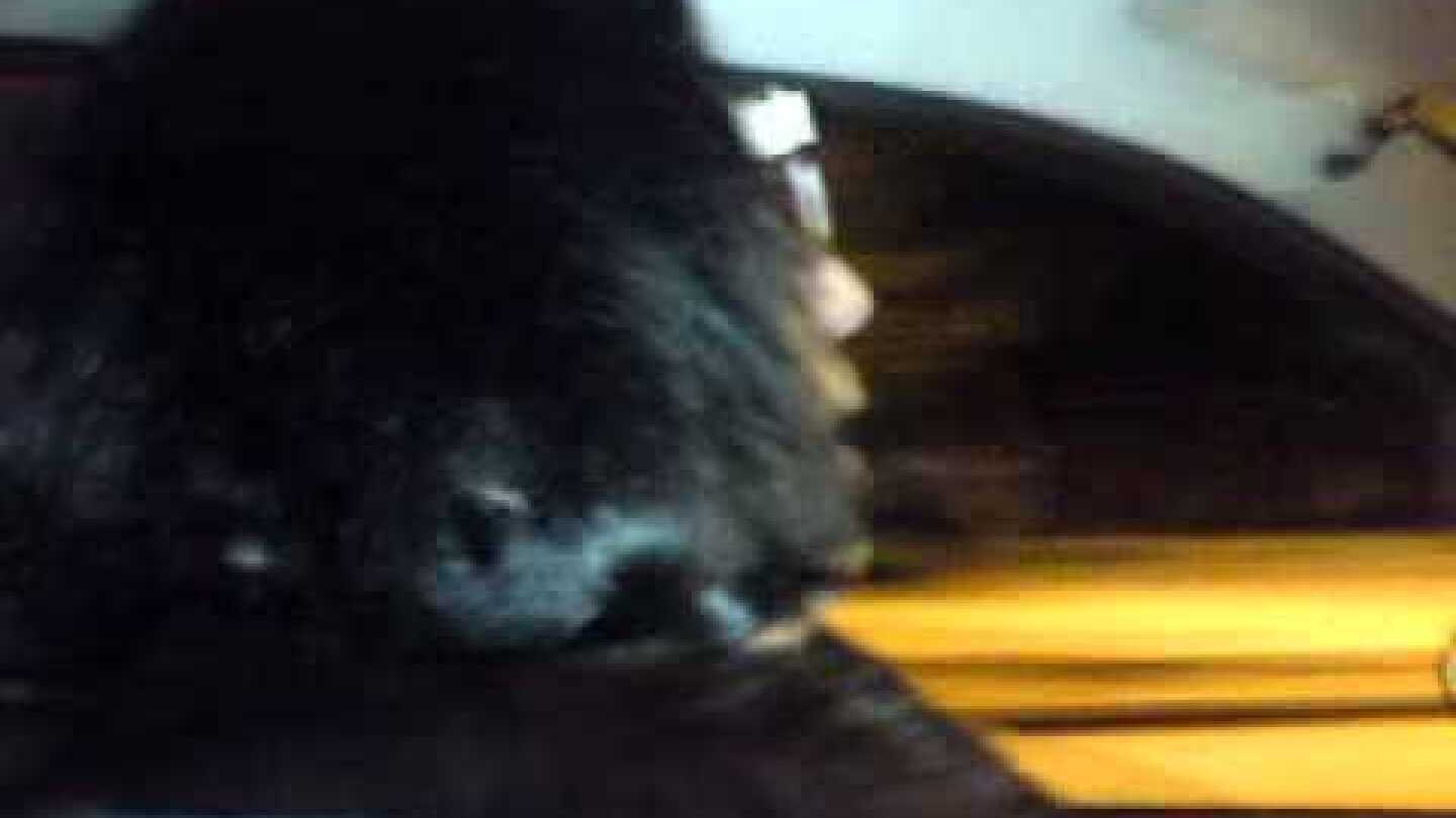 ΕΘΝΙΚΟΣ ΣΤΑΡ ΠΑΝΥΓΥΡΙΖΕΙ ΓΙΑ ΤΗΝ ΝΙΚΗ ΤΟΥ ΣΥΡΙΖΑ 25/1/2015 ΝΤΟΚΟΥΜΕΝΤΟ ΒΙΝΤΕΟ 2