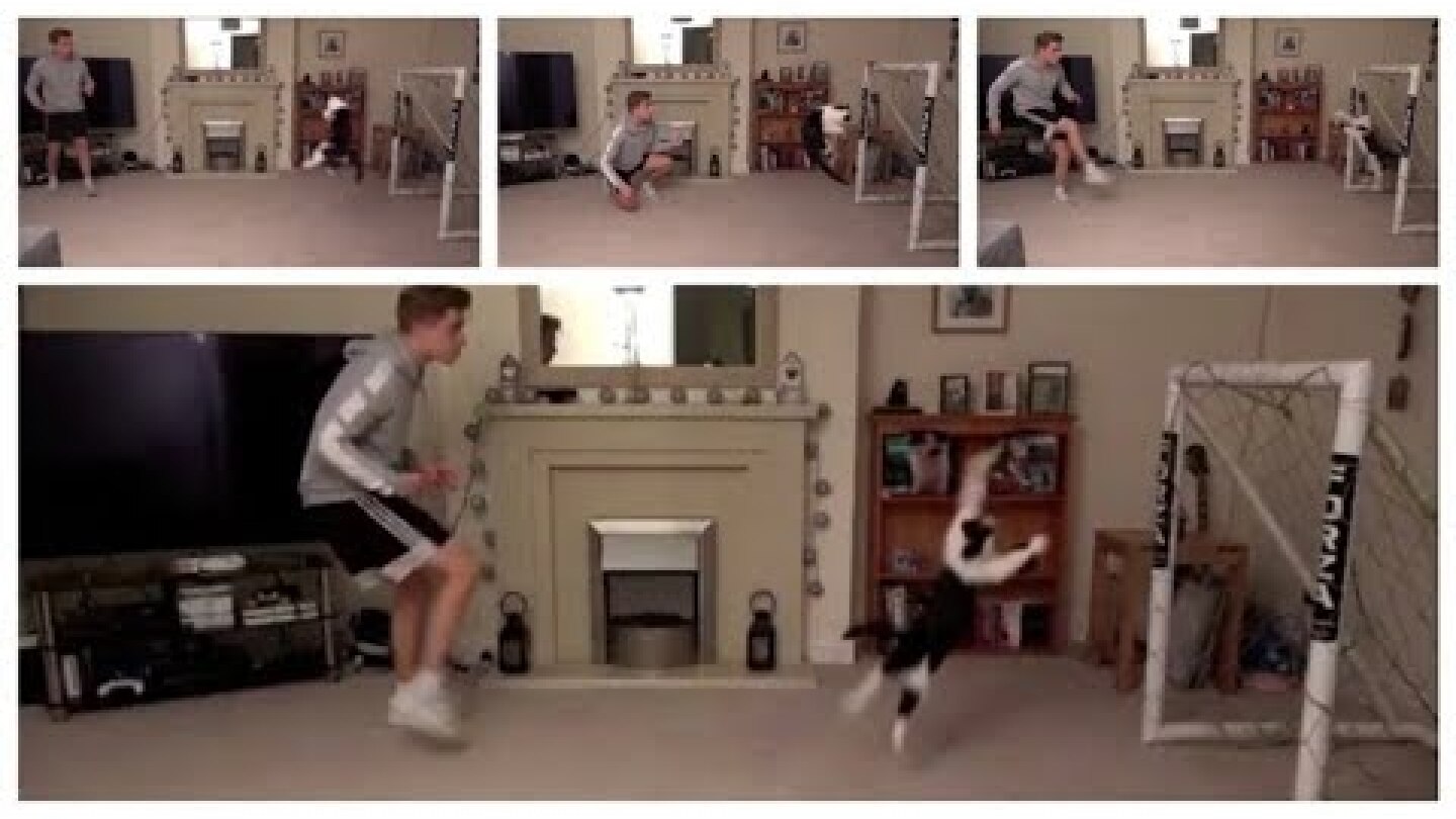 This Cat deserves Goalkeeper of the Year | Nothing gets past Meownuel Neuer