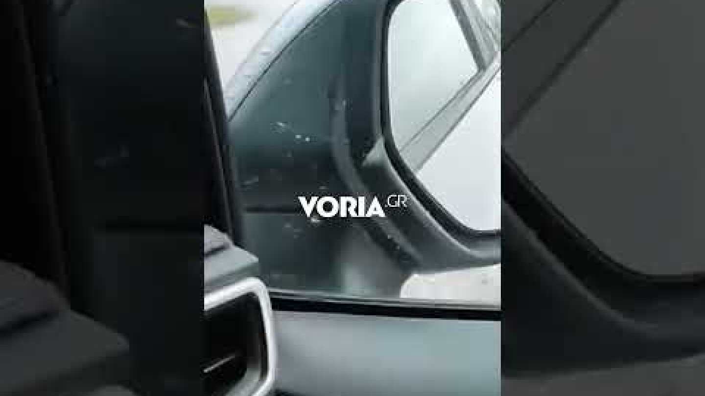 Κοζάνη: Αρκούδα κατέβηκε στην Αναρράχη Πτολεμαΐδας