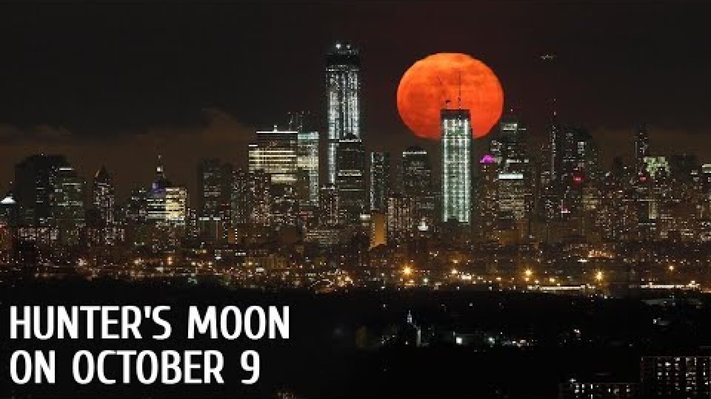 Hunter's Moon On October 9, 2022| October Full Moon Date And Time