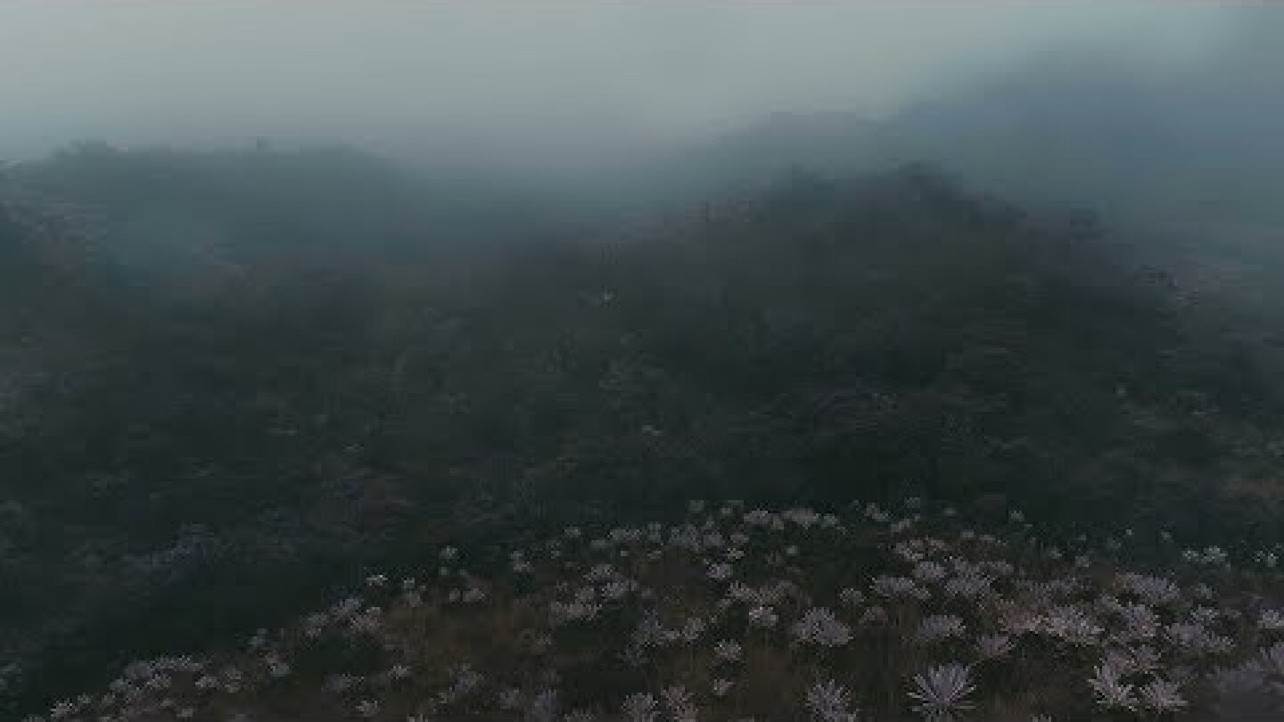 Leifur James - Night and Day (Official Video)