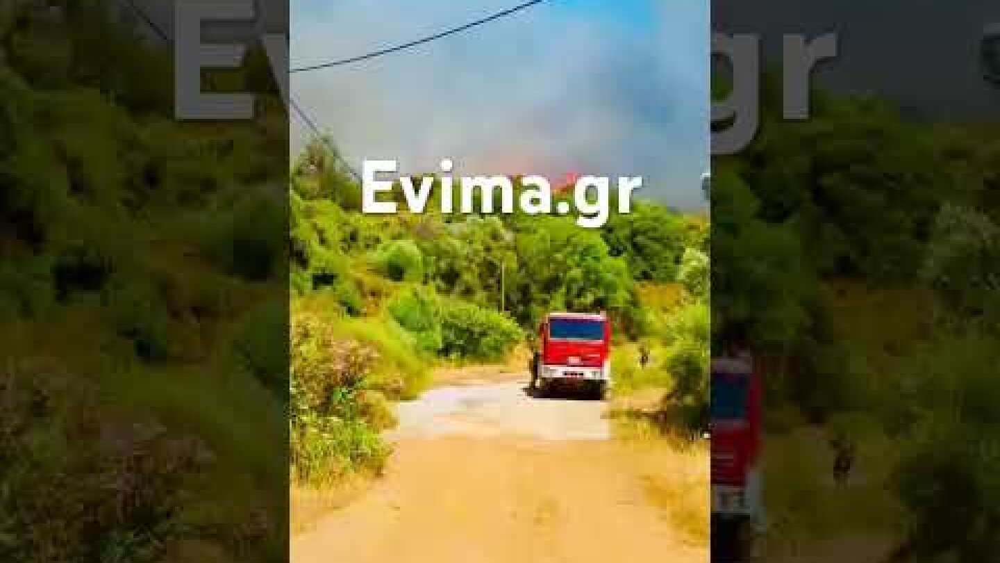 Μεγάλη φωτιά στην Εύβοια