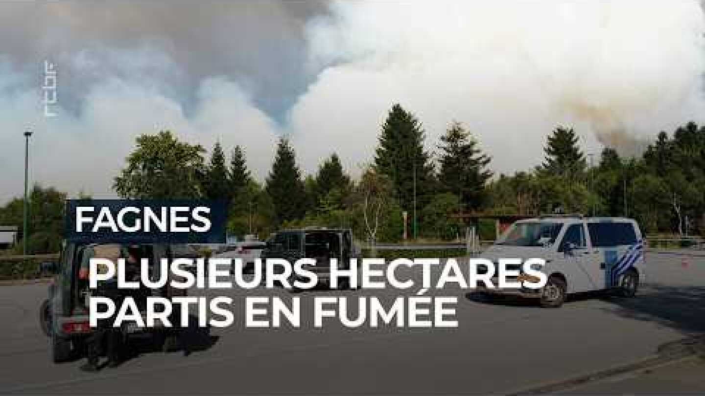 Incendie dans les Hautes Fagnes : le feu continue de se propager - RTBF Info