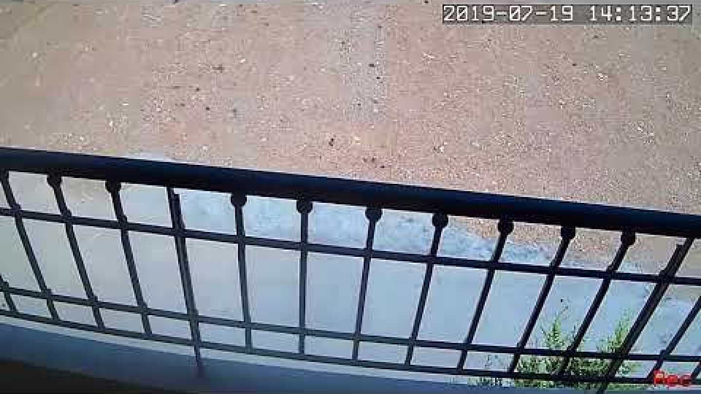 Η στιγμή του σεισμού από κάμερα ασφαλείας