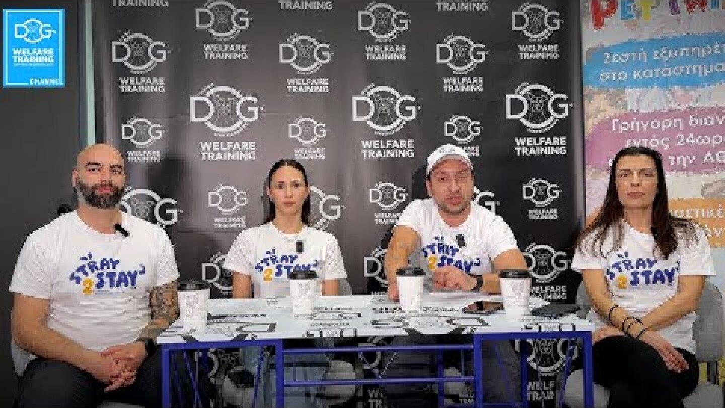 Stray to stay promo video