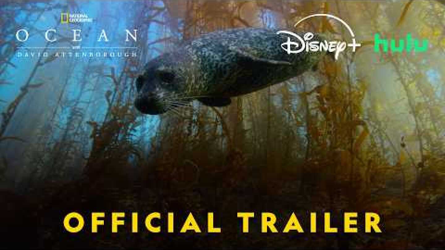 Ocean with David Attenborough | Official Trailer | National Geographic